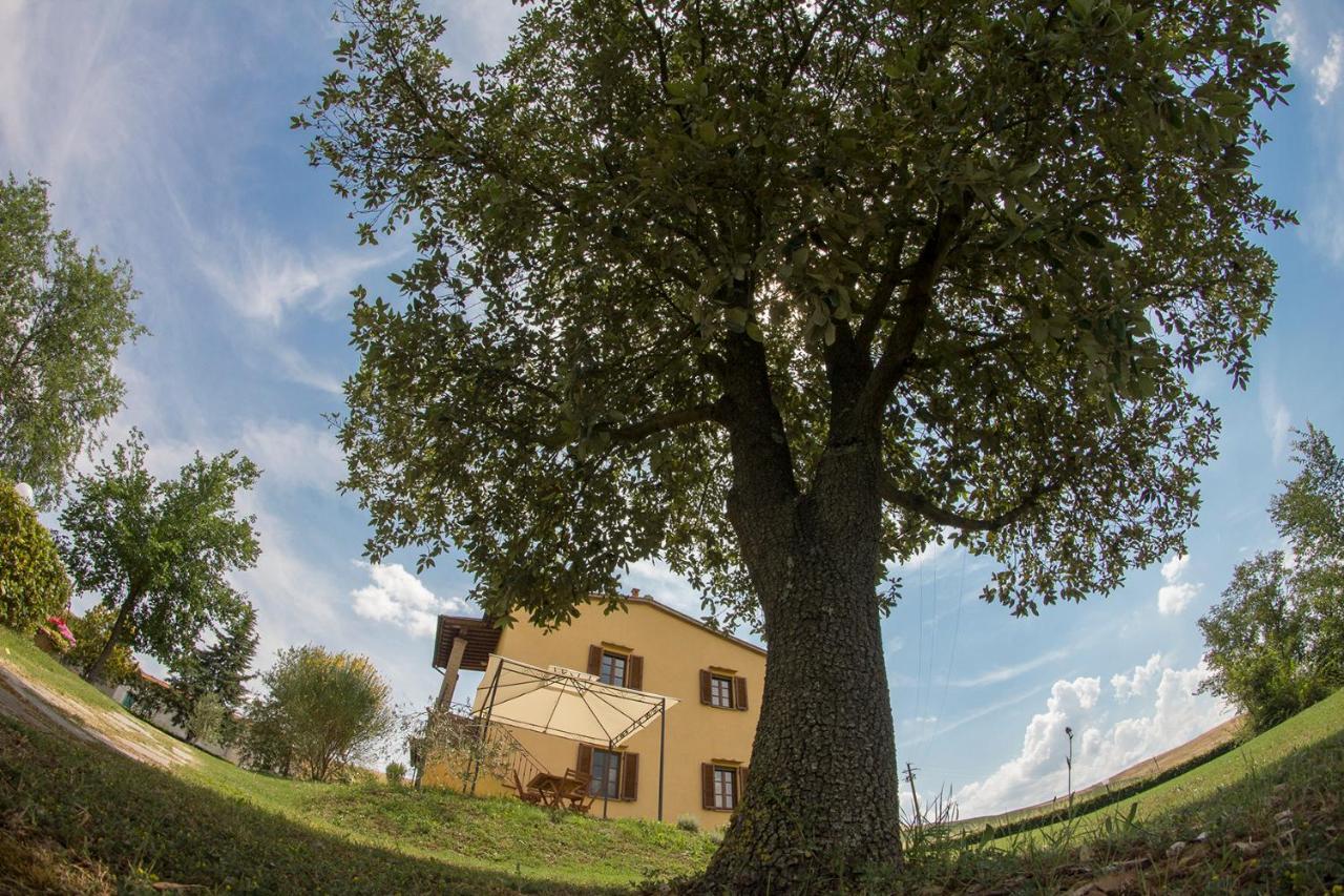 Agriturismo San Giuseppe 渥尔特拉 外观 照片